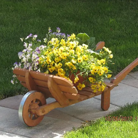 Appartement Haus Egger *